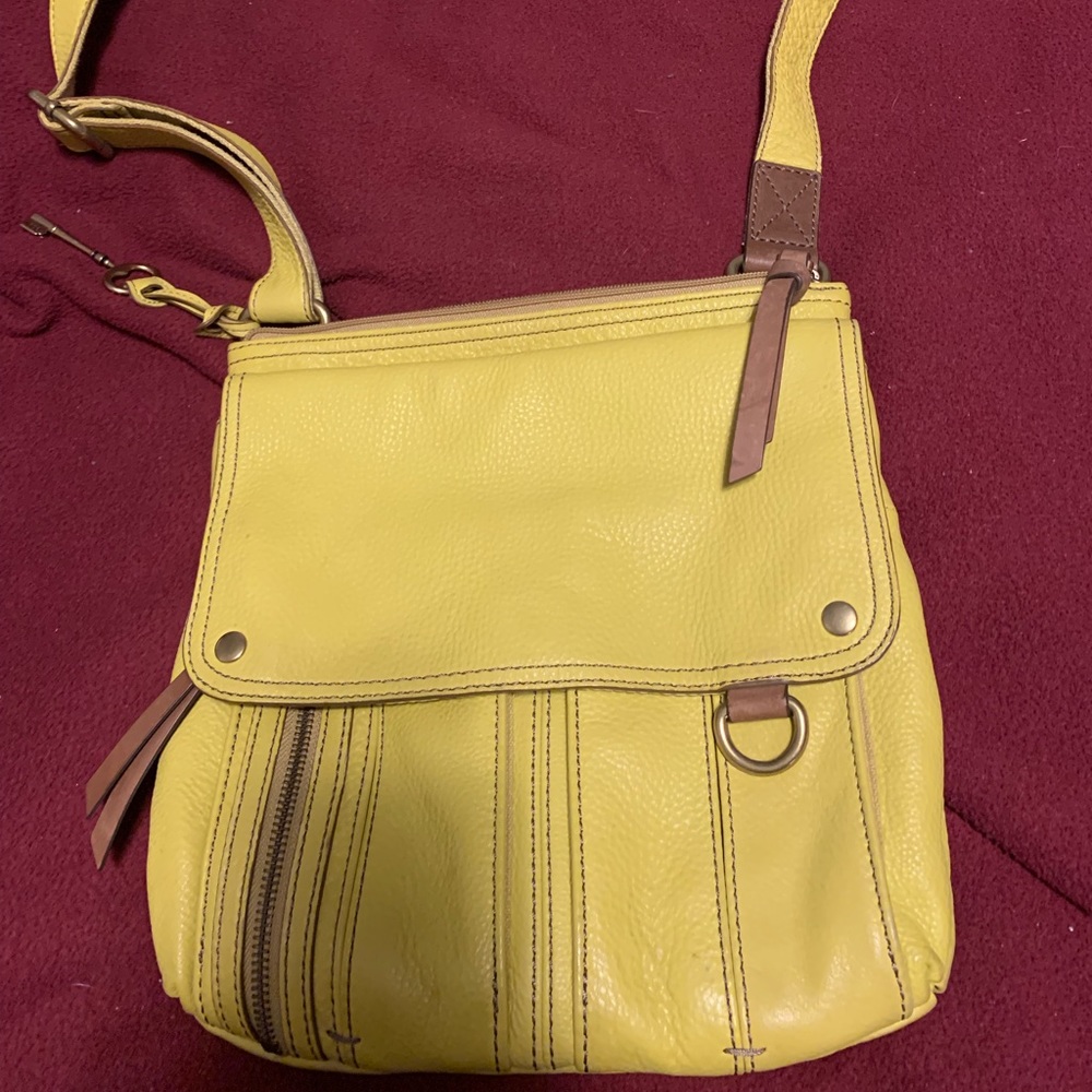 Fossil Cross body purse